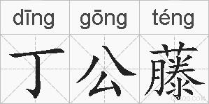 丁公藤的拼音