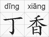 丁香的拼音
