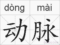 动脉的拼音