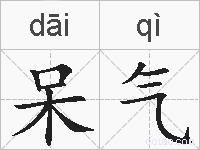 呆气的拼音