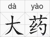 大药的拼音