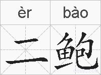 二鲍的拼音