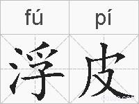 浮皮的拼音