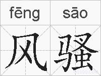 风骚的拼音