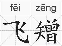 飞矰的拼音