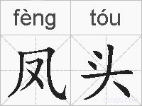 凤头的拼音