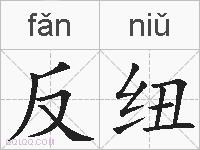 反纽的拼音