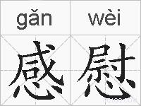 感慰的拼音