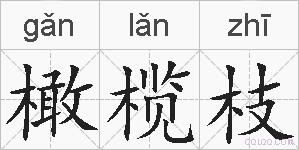 橄榄枝的拼音