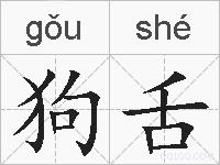 狗舌的拼音