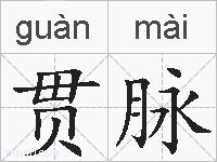 贯脉的拼音
