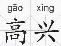 高兴的拼音