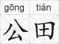 公田的拼音