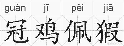 冠鸡佩猳的拼音