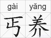 丐养的拼音