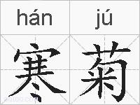 寒菊的拼音