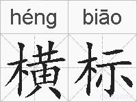 横标的拼音