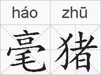 毫猪的拼音