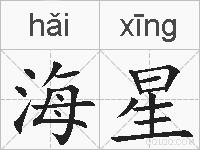 海星的拼音
