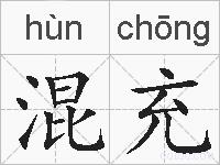 混充的拼音