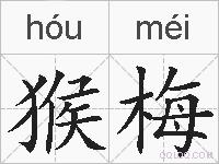 猴梅的拼音