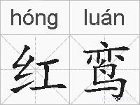 红鸾的拼音