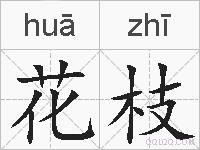 花枝的拼音
