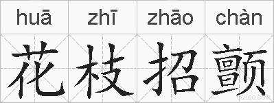 花枝招颤的拼音