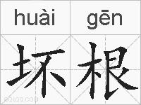 坏根的拼音