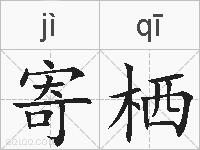 寄栖的拼音
