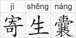 寄生囊的拼音