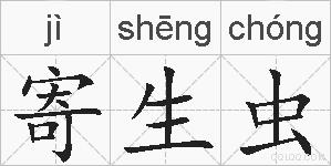 寄生虫的拼音