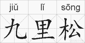 九里松的拼音