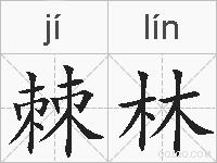 棘林的拼音