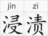浸渍的拼音