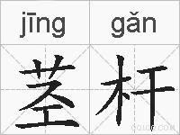 茎杆的拼音