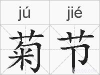 菊节的拼音