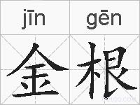 金根的拼音
