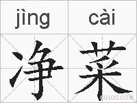净菜的拼音