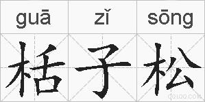 栝子松的拼音