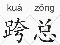 跨总的拼音