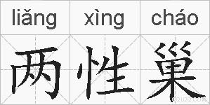两性巢的拼音