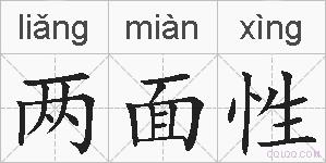 两面性的拼音