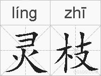 灵枝的拼音