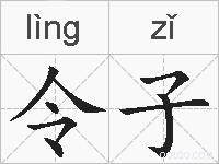 令子的拼音