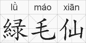 緑毛仙的拼音