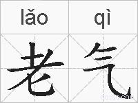 老气的拼音