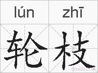 轮枝的拼音