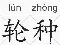 轮种的拼音