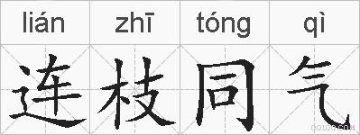 连枝同气的拼音
